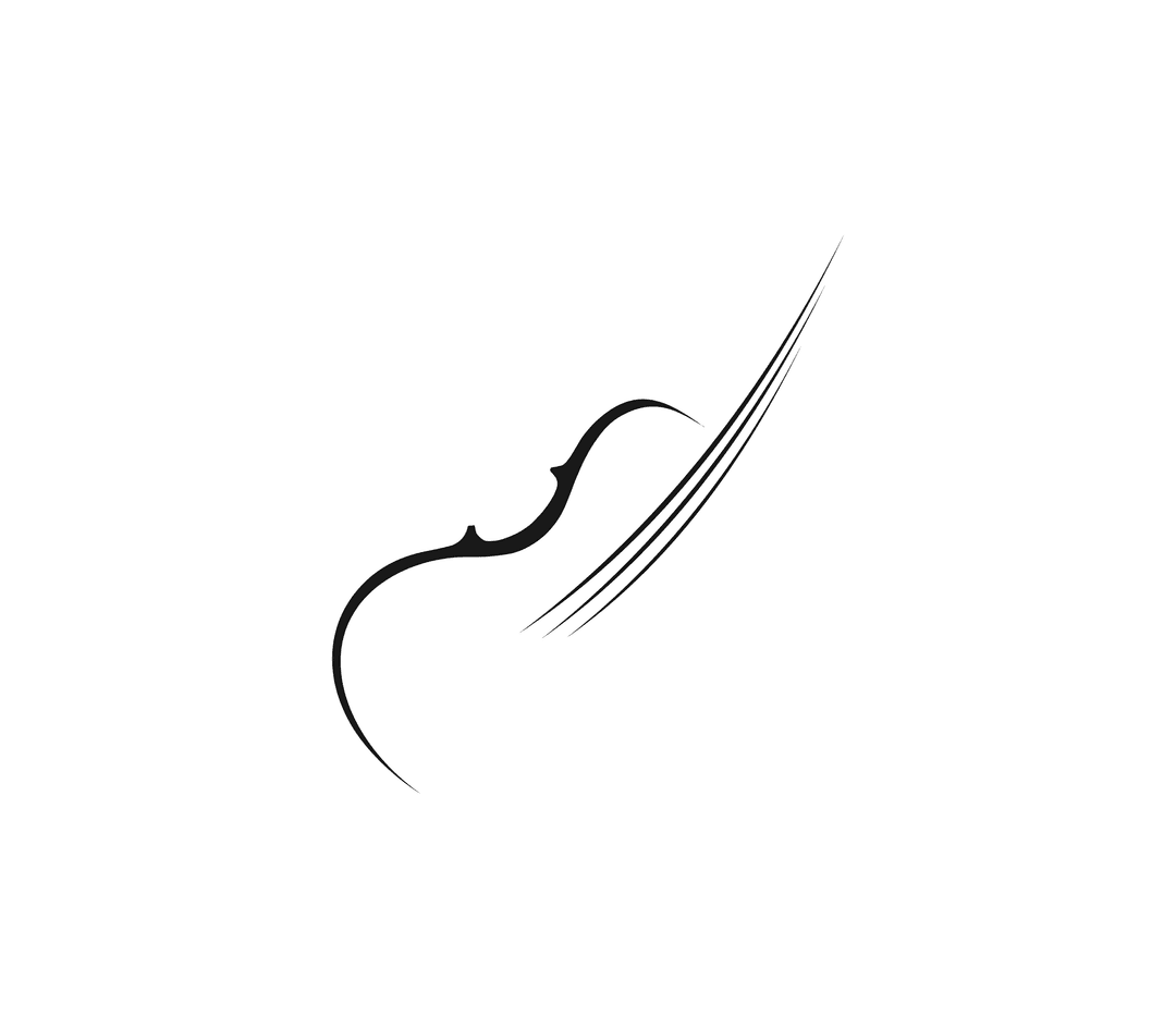 Viool Studio Parkstad